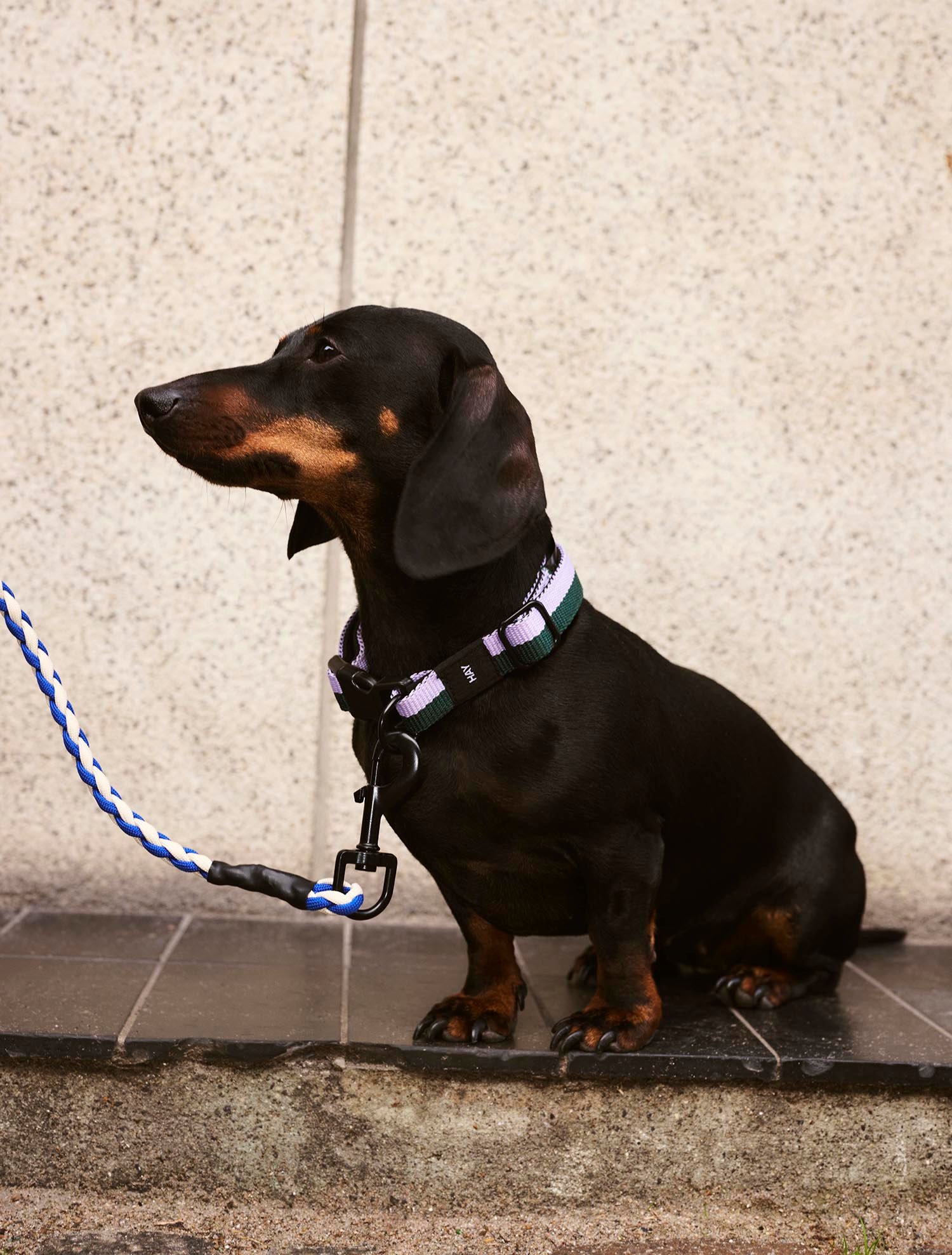 라이프스타일 이미지 4