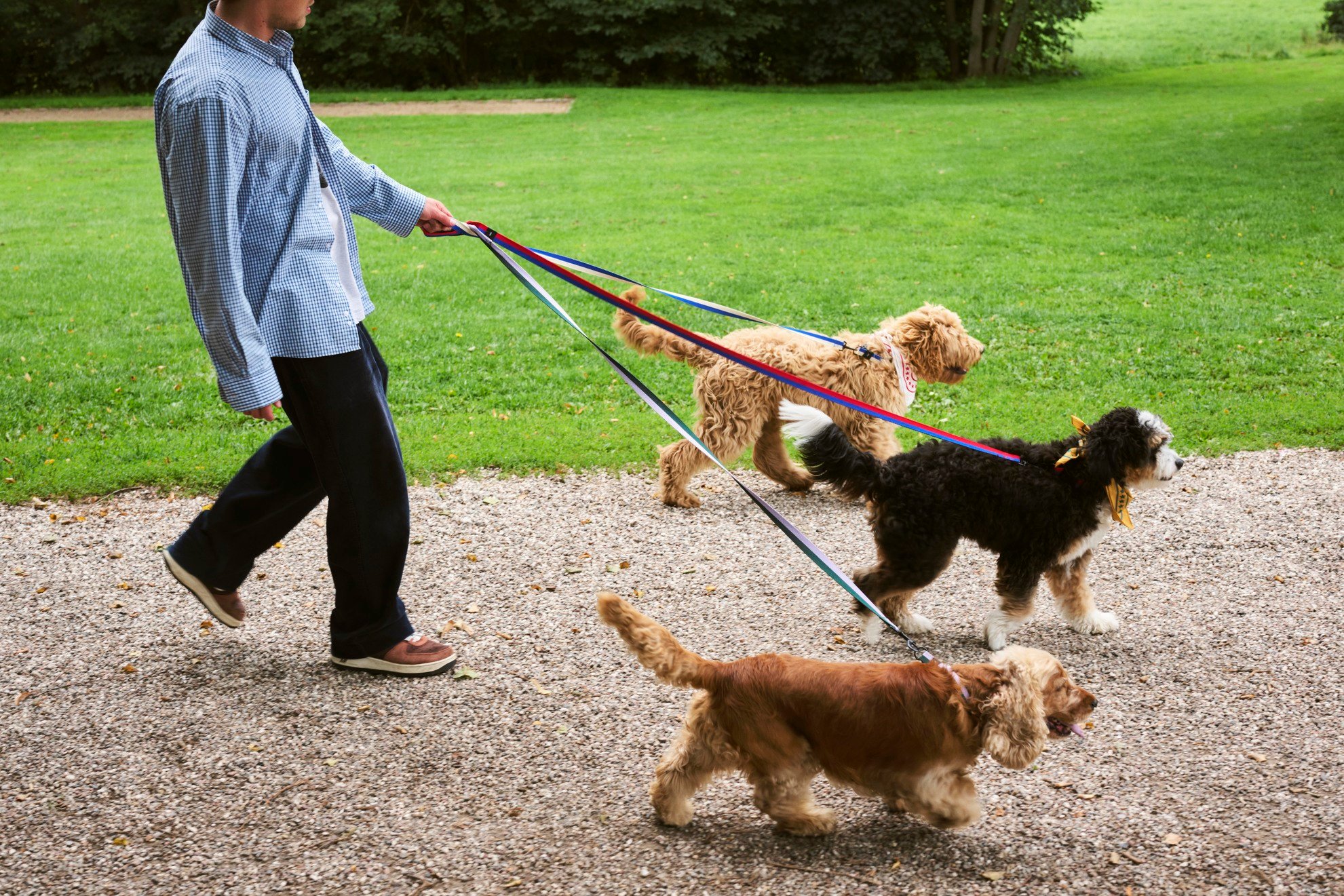 라이프스타일 이미지 8