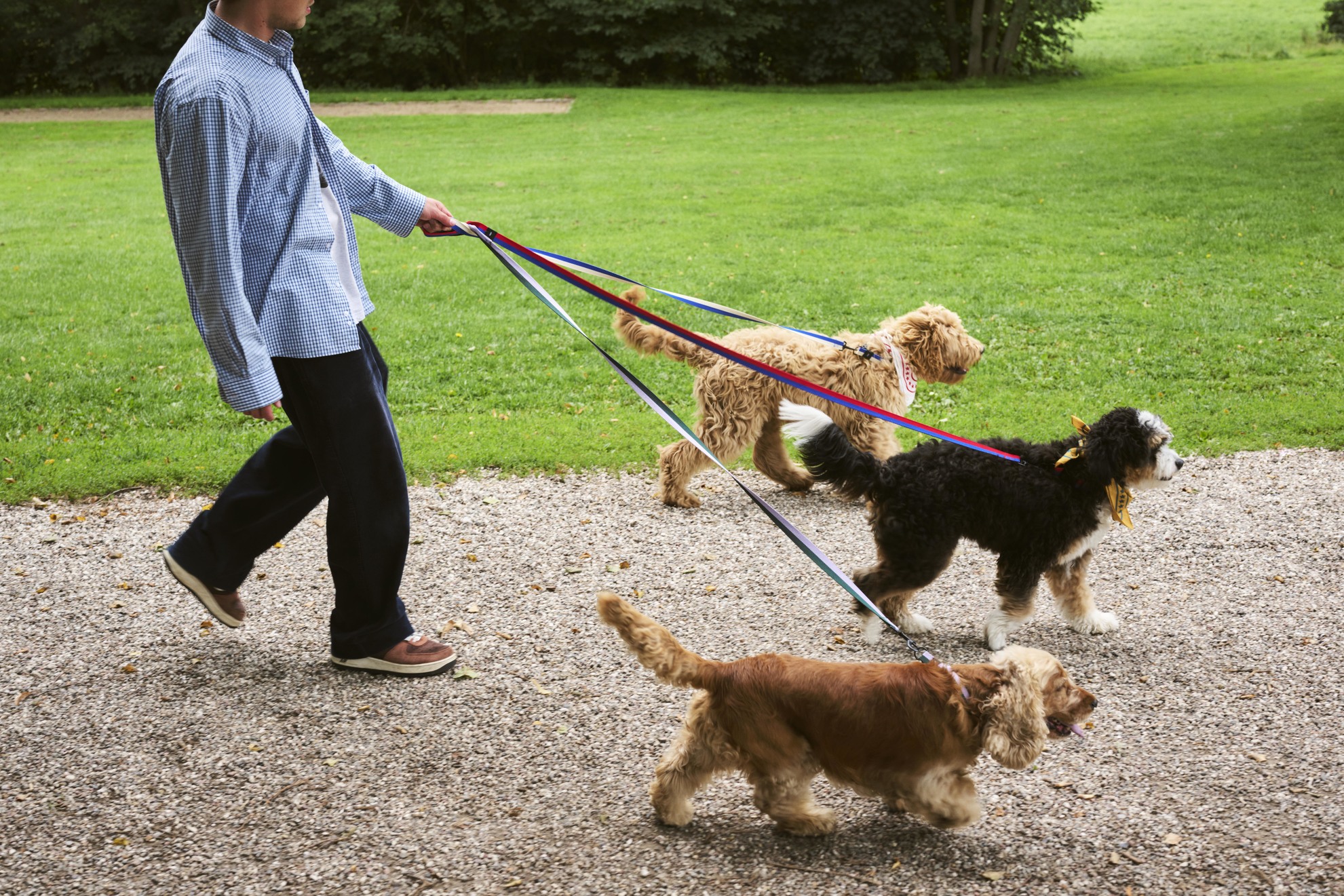 도그스 리쉬 플랫 라벤더 그린 라이프스타일 이미지 3