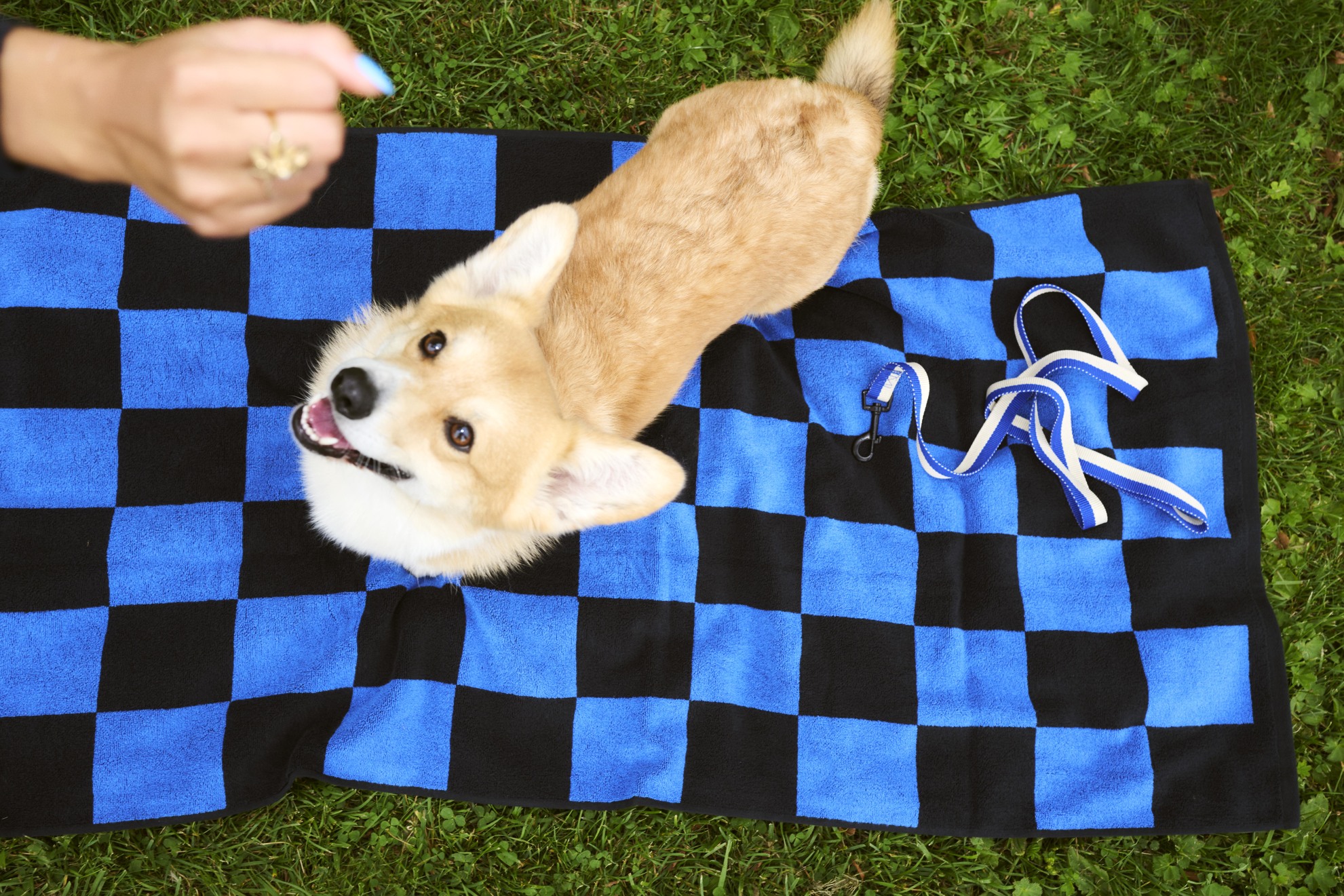 도그스 리쉬 플랫 블루 오프화이트 라이프스타일 이미지 6