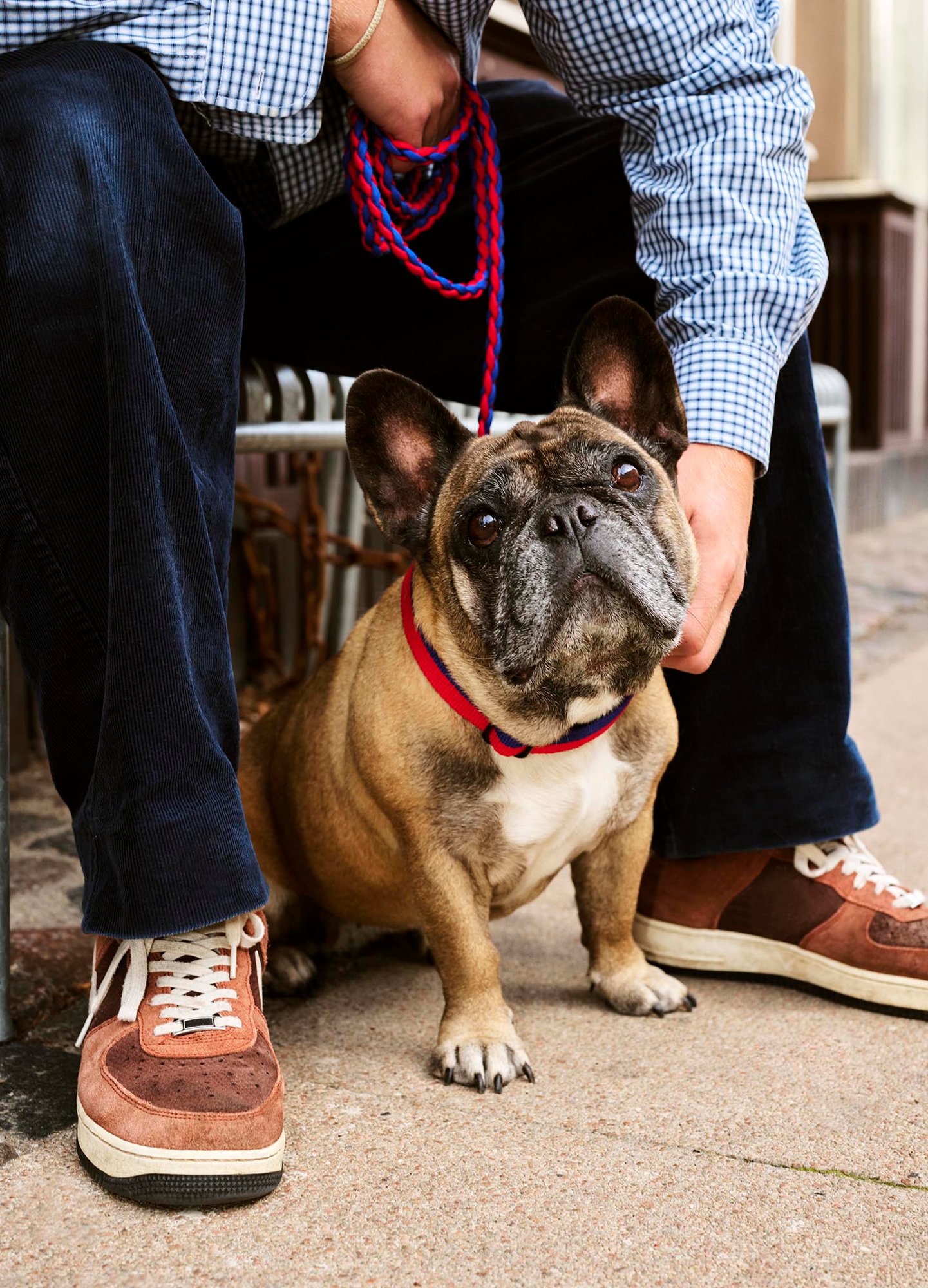라이프스타일 이미지 2