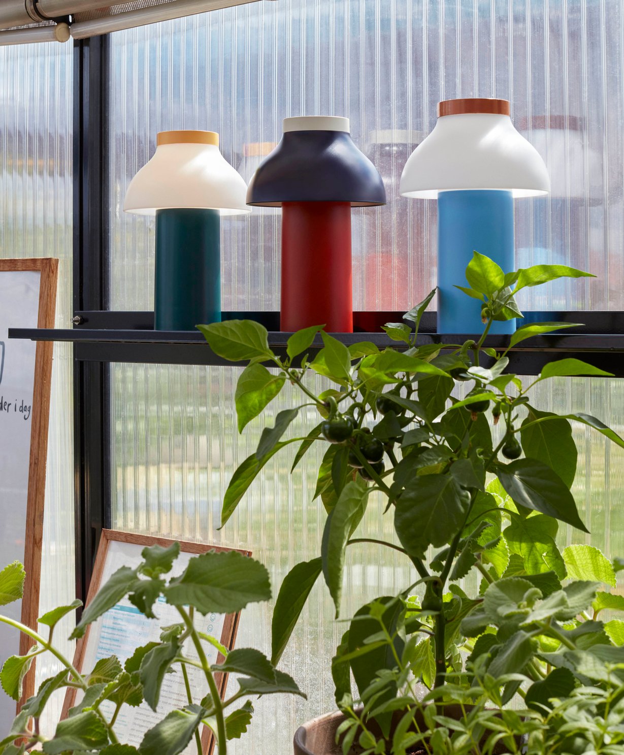 PC 포터블 아주르 블루 라이프스타일 이미지 15