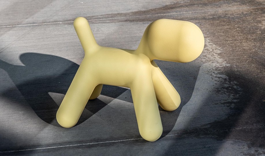 퍼피 화이트 스몰 라이프스타일 이미지 3